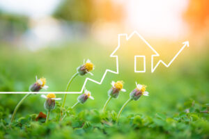 Real Estate | Spring | Raleigh, NC