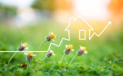 The Spring Effect: The Best Time to Buy a House?